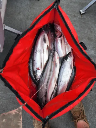 Casting For Memories fishing photo 25
