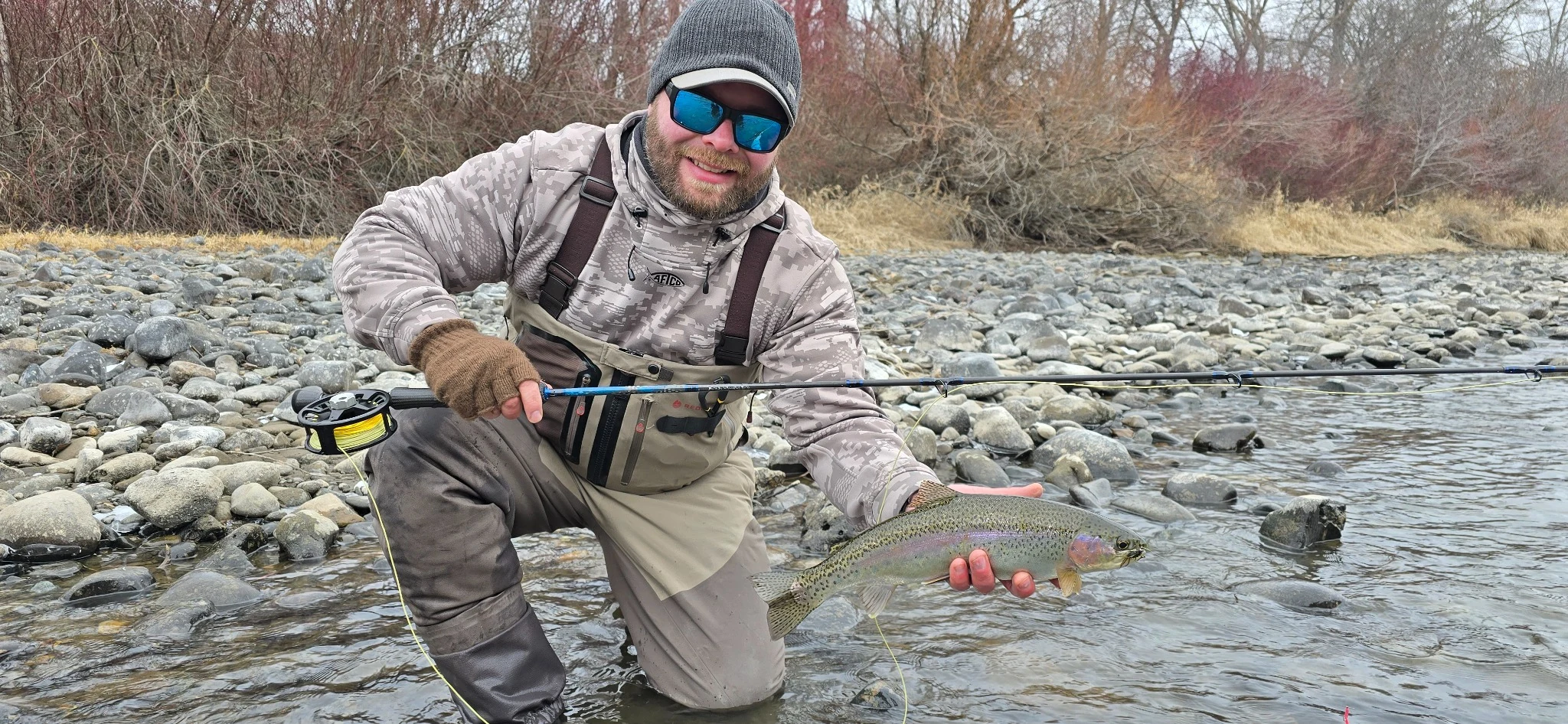 Trout