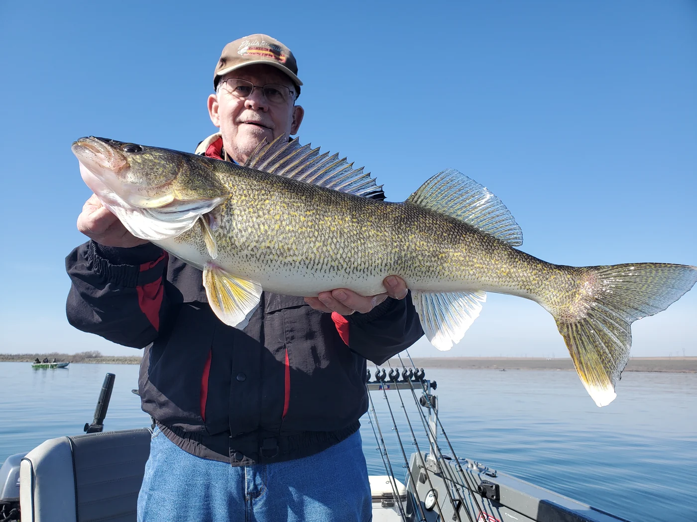 Walleye